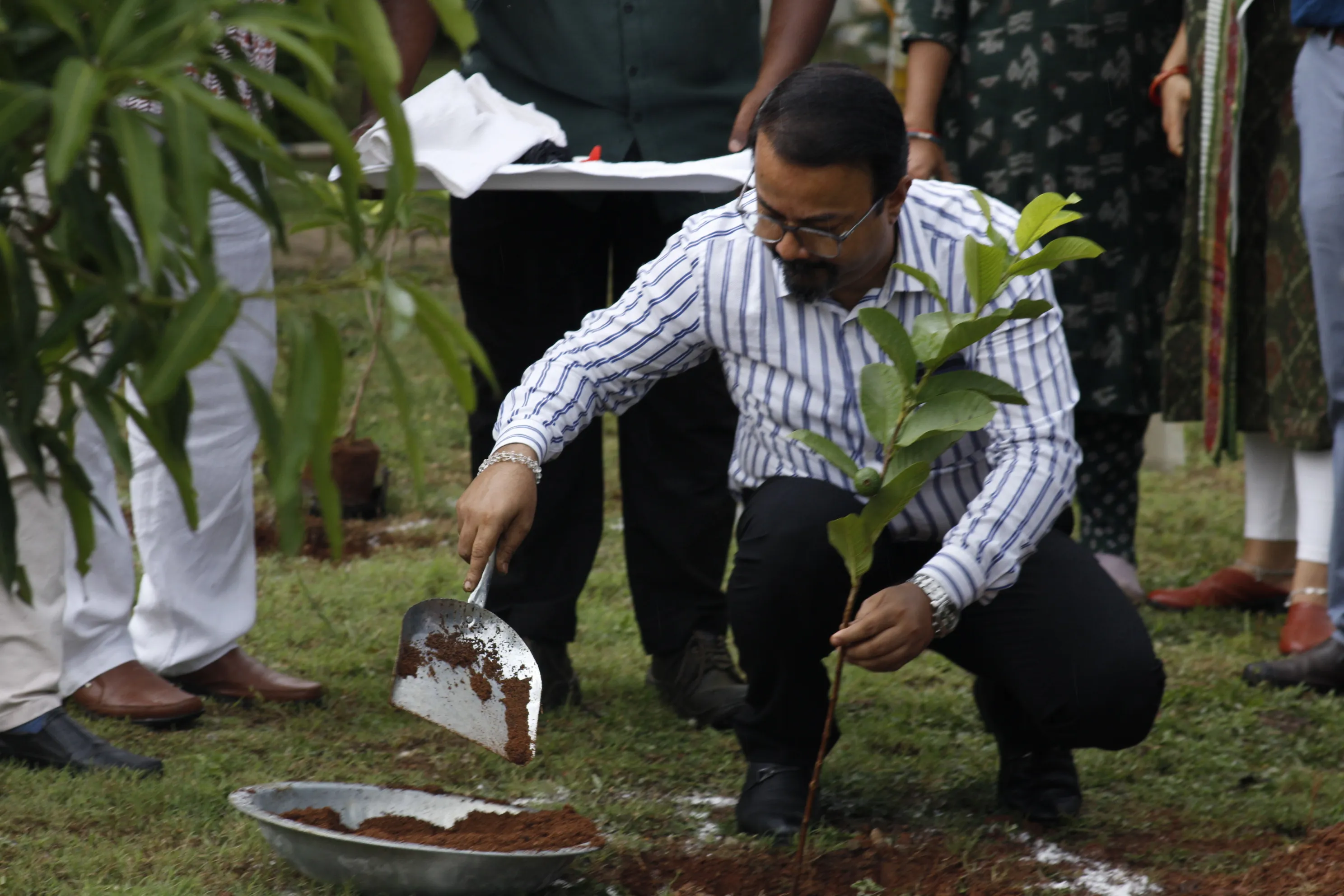 World Environment Day Celebration — photo 2