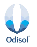 M/s Odisha Solutions Pvt Ltd.
